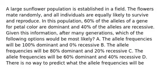 A large sunflower population is established in a field. The flowers mate randomly, and all individuals are equally likely to survive and reproduce. In this population, 60% of the alleles of a gene for petal color are dominant and 40% of the alleles are recessive. Given this information, after many generations, which of the following options would be most likely? A. The allele frequencies will be 100% dominant and 0% recessive B. The allele frequencies will be 80% dominant and 20% recessive C. The allele frequencies will be 60% dominant and 40% recessive D. There is no way to predict what the allele frequencies will be