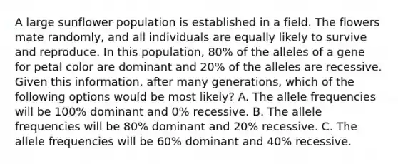 A large sunflower population is established in a field. The flowers mate randomly, and all individuals are equally likely to survive and reproduce. In this population, 80% of the alleles of a gene for petal color are dominant and 20% of the alleles are recessive. Given this information, after many generations, which of the following options would be most likely? A. The allele frequencies will be 100% dominant and 0% recessive. B. The allele frequencies will be 80% dominant and 20% recessive. C. The allele frequencies will be 60% dominant and 40% recessive.