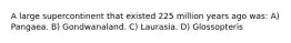 A large supercontinent that existed 225 million years ago was: A) Pangaea. B) Gondwanaland. C) Laurasia. D) Glossopteris