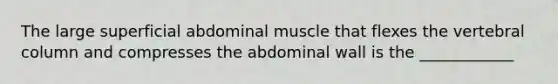 The large superficial abdominal muscle that flexes the <a href='https://www.questionai.com/knowledge/ki4fsP39zf-vertebral-column' class='anchor-knowledge'>vertebral column</a> and compresses the abdominal wall is the ____________