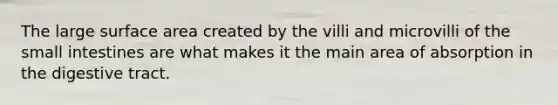 The large surface area created by the villi and microvilli of the small intestines are what makes it the main area of absorption in the digestive tract.