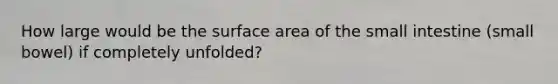 How large would be the surface area of the small intestine (small bowel) if completely unfolded?