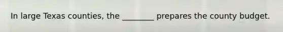 In large Texas counties, the ________ prepares the county budget.