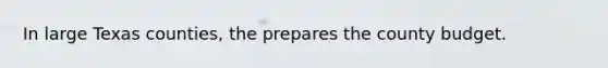 In large Texas counties, the prepares the county budget.