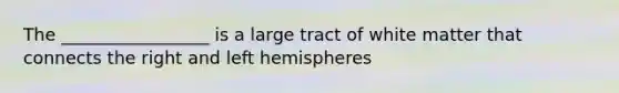 The _________________ is a large tract of white matter that connects the right and left hemispheres