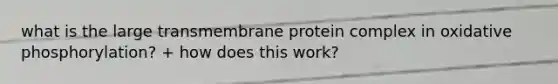 what is the large transmembrane protein complex in oxidative phosphorylation? + how does this work?