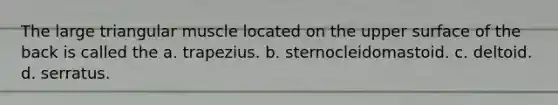 The large triangular muscle located on the upper surface of the back is called the a. trapezius. b. sternocleidomastoid. c. deltoid. d. serratus.