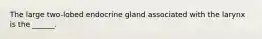 The large two-lobed endocrine gland associated with the larynx is the ______.