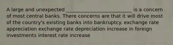 A large and unexpected ___________________________ is a concern of most central banks. There concerns are that it will drive most of the country's existing banks into bankruptcy. exchange rate appreciation exchange rate depreciation increase in foreign investments interest rate increase