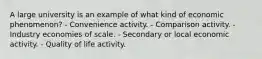 A large university is an example of what kind of economic phenomenon? - Convenience activity. - Comparison activity. - Industry economies of scale. - Secondary or local economic activity. - Quality of life activity.