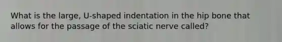 What is the large, U-shaped indentation in the hip bone that allows for the passage of the sciatic nerve called?