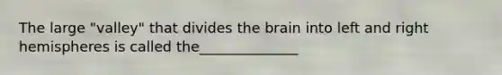 The large "valley" that divides the brain into left and right hemispheres is called the______________