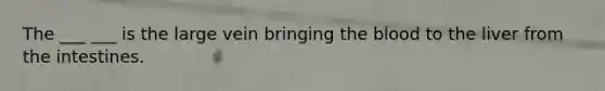 The ___ ___ is the large vein bringing the blood to the liver from the intestines.