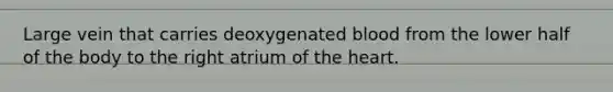 Large vein that carries deoxygenated blood from the lower half of the body to the right atrium of the heart.