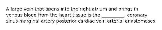 A large vein that opens into the right atrium and brings in venous blood from the heart tissue is the __________. coronary sinus marginal artery posterior cardiac vein arterial anastomoses