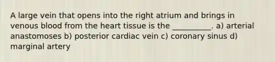 A large vein that opens into the right atrium and brings in venous blood from the heart tissue is the __________. a) arterial anastomoses b) posterior cardiac vein c) coronary sinus d) marginal artery