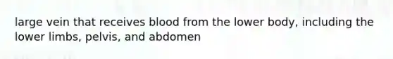 large vein that receives blood from the lower body, including the lower limbs, pelvis, and abdomen