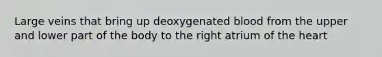 Large veins that bring up deoxygenated blood from the upper and lower part of the body to the right atrium of the heart