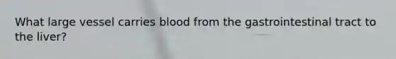 What large vessel carries blood from the gastrointestinal tract to the liver?