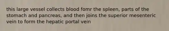 this large vessel collects blood fomr the spleen, parts of the stomach and pancreas, and then joins the superior mesenteric vein to form the hepatic portal vein