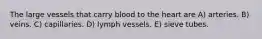 The large vessels that carry blood to the heart are A) arteries. B) veins. C) capillaries. D) lymph vessels. E) sieve tubes.