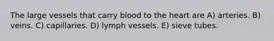 The large vessels that carry blood to <a href='https://www.questionai.com/knowledge/kya8ocqc6o-the-heart' class='anchor-knowledge'>the heart</a> are A) arteries. B) veins. C) capillaries. D) lymph vessels. E) sieve tubes.