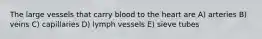 The large vessels that carry blood to the heart are A) arteries B) veins C) capillaries D) lymph vessels E) sieve tubes