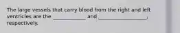 The large vessels that carry blood from the right and left ventricles are the _____________ and ___________________, respectively.