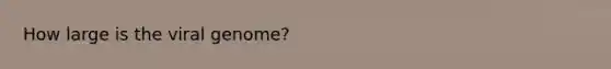 How large is the viral genome?