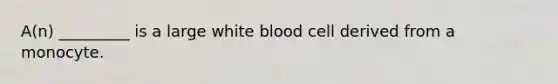 A(n) _________ is a large white blood cell derived from a monocyte.