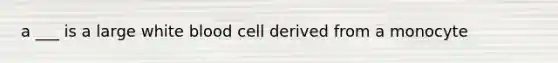 a ___ is a large white blood cell derived from a monocyte