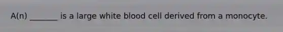 A(n) _______ is a large white blood cell derived from a monocyte.