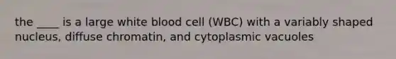 the ____ is a large white blood cell (WBC) with a variably shaped nucleus, diffuse chromatin, and cytoplasmic vacuoles