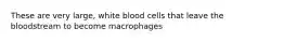 These are very large, white blood cells that leave the bloodstream to become macrophages