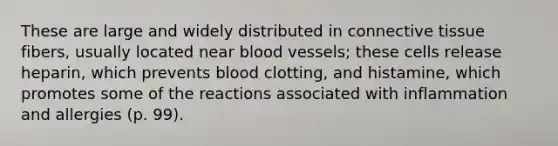 These are large and widely distributed in connective tissue fibers, usually located near blood vessels; these cells release heparin, which prevents blood clotting, and histamine, which promotes some of the reactions associated with inflammation and allergies (p. 99).