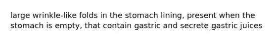 large wrinkle-like folds in <a href='https://www.questionai.com/knowledge/kLccSGjkt8-the-stomach' class='anchor-knowledge'>the stomach</a> lining, present when the stomach is empty, that contain gastric and secrete gastric juices