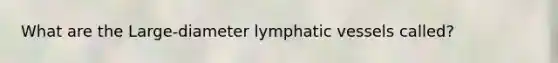 What are the Large-diameter lymphatic vessels called?