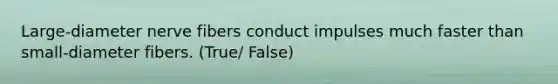 Large-diameter nerve fibers conduct impulses much faster than small-diameter fibers. (True/ False)