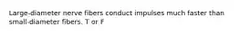 Large-diameter nerve fibers conduct impulses much faster than small-diameter fibers. T or F