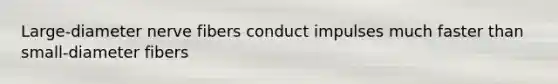 Large-diameter nerve fibers conduct impulses much faster than small-diameter fibers