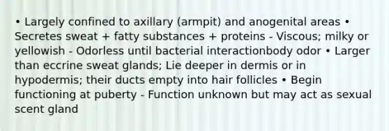 • Largely confined to axillary (armpit) and anogenital areas • Secretes sweat + fatty substances + proteins - Viscous; milky or yellowish - Odorless until bacterial interactionbody odor • Larger than eccrine sweat glands; Lie deeper in dermis or in hypodermis; their ducts empty into hair follicles • Begin functioning at puberty - Function unknown but may act as sexual scent gland