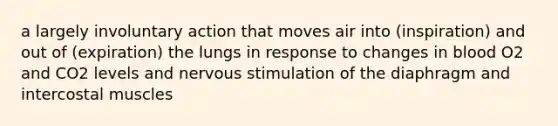 a largely involuntary action that moves air into (inspiration) and out of (expiration) the lungs in response to changes in blood O2 and CO2 levels and nervous stimulation of the diaphragm and intercostal muscles