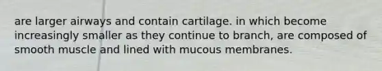 are larger airways and contain cartilage. in which become increasingly smaller as they continue to branch, are composed of smooth muscle and lined with mucous membranes.