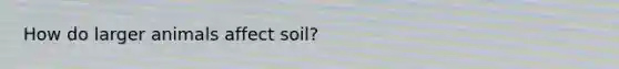 How do larger animals affect soil?