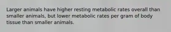 Larger animals have higher resting metabolic rates overall than smaller animals, but lower metabolic rates per gram of body tissue than smaller animals.