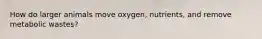 How do larger animals move oxygen, nutrients, and remove metabolic wastes?