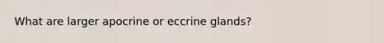 What are larger apocrine or eccrine glands?