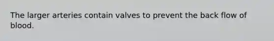 The larger arteries contain valves to prevent the back flow of blood.