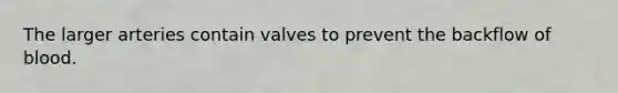 The larger arteries contain valves to prevent the backflow of blood.