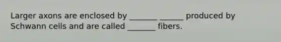 Larger axons are enclosed by _______ ______ produced by Schwann cells and are called _______ fibers.